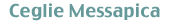 �`�F���W�F�E���b�T�[�s�J